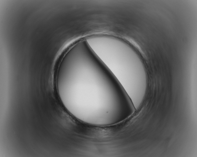 X0000088401270200705220814