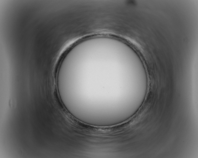 X0000088401271200705220814