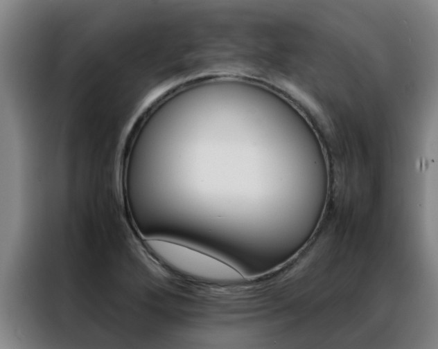 X0000088401272200705220814