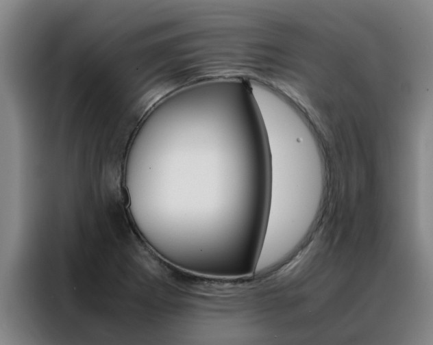 X0000088401273200705220814