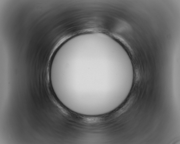 X0000088401274200705220814