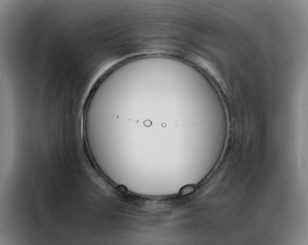 X0000088401275200705220814