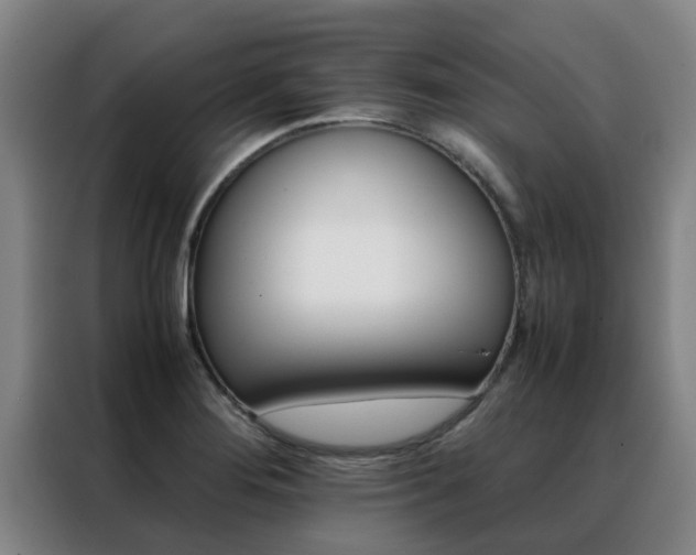 X0000088401276200705220814