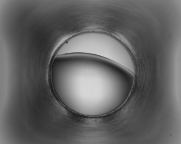 X0000088401277200705220814