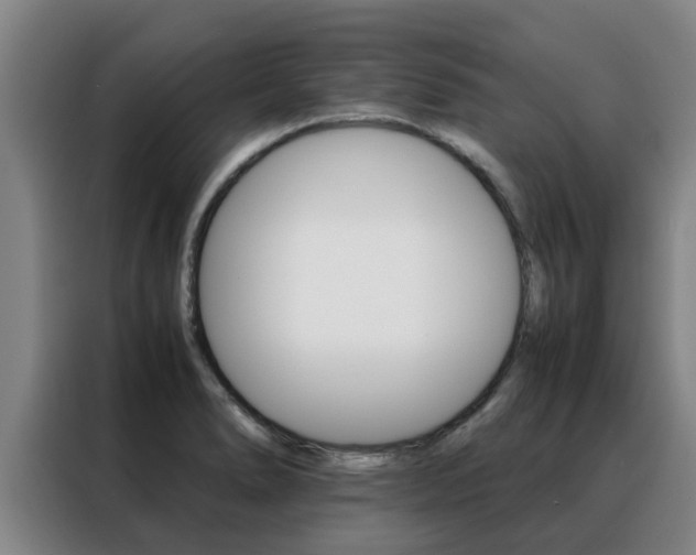 X0000088401278200705220814