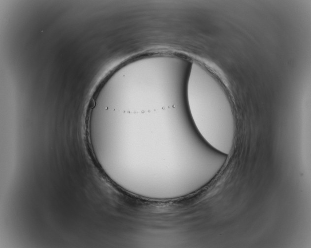 X0000088401279200705220814