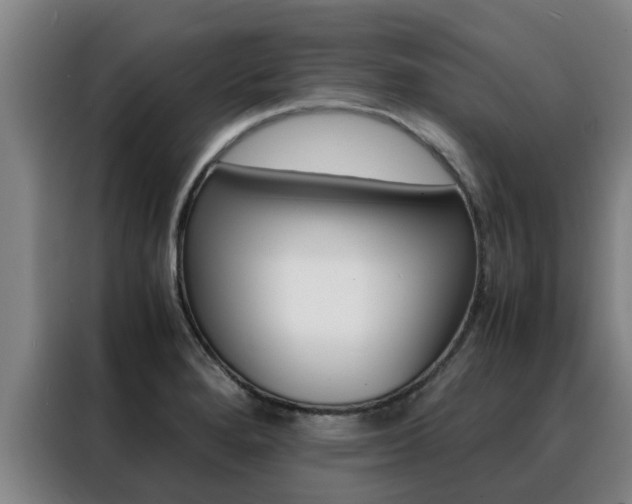 X0000088401280200705220814
