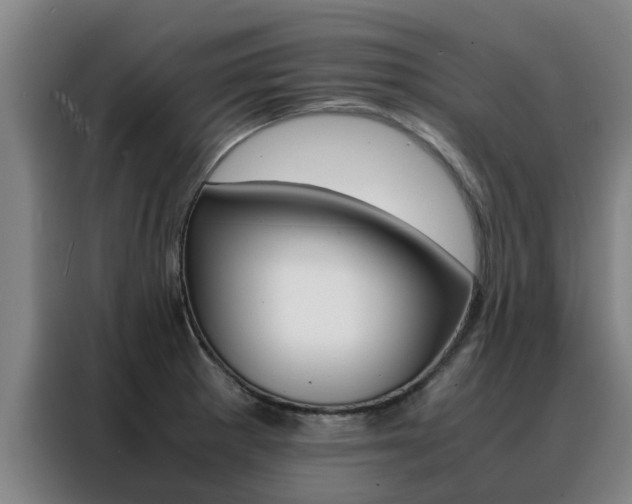 X0000088401281200705220814