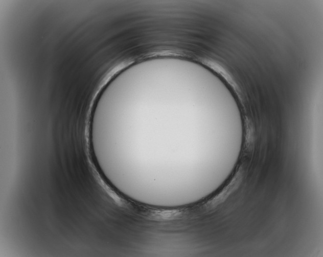X0000088401282200705220814