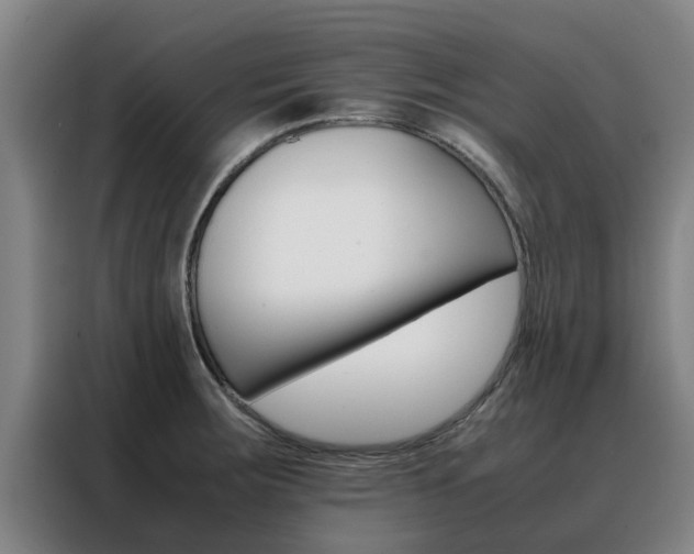 X0000088401283200705220814