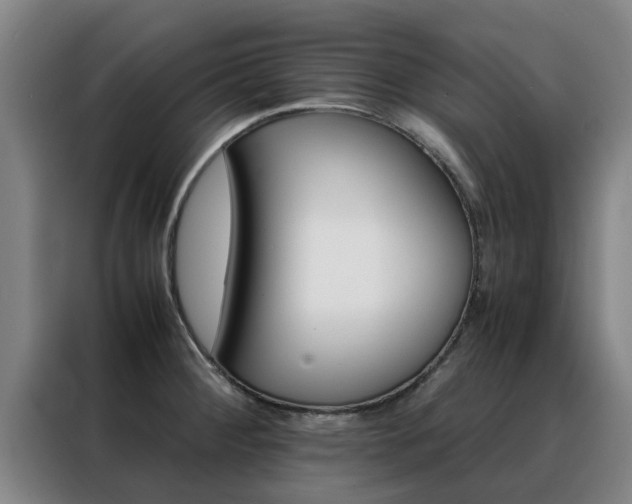 X0000088401284200705220814