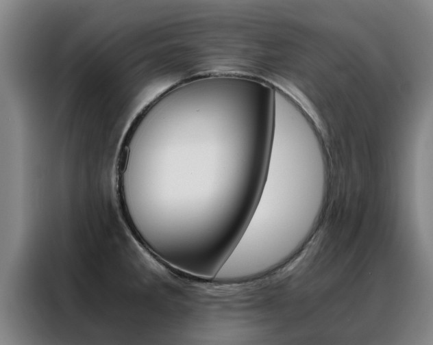 X0000088401285200705220814