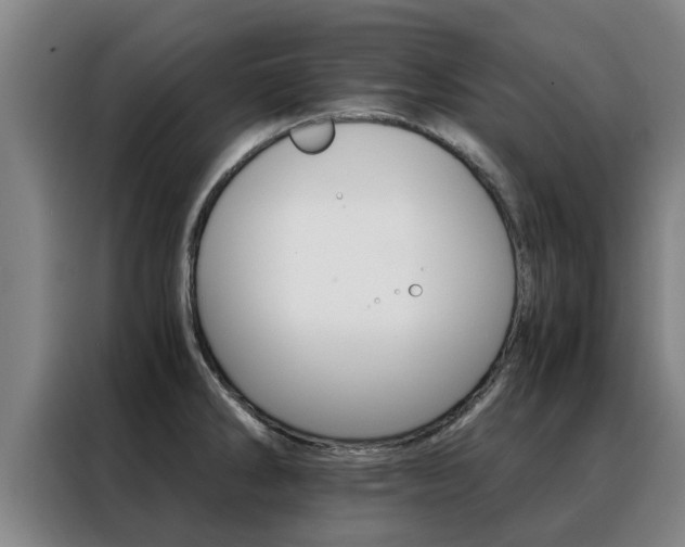 X0000088401286200705220814