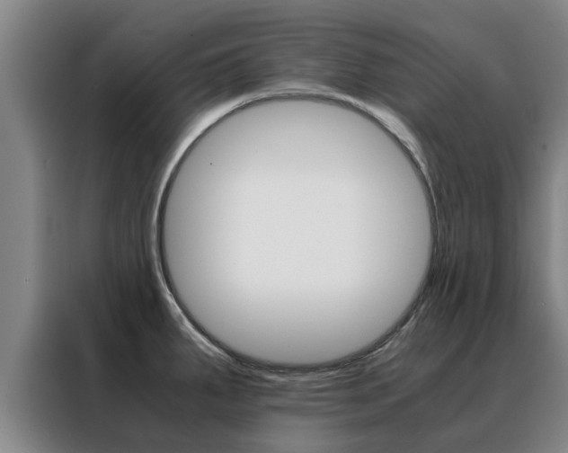 X0000088401287200705220814