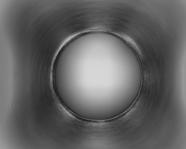 X0000088401288200705220814