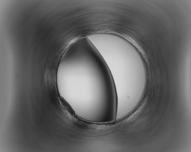 X0000088401289200705220814