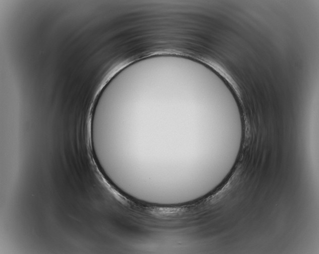 X0000088401290200705220814