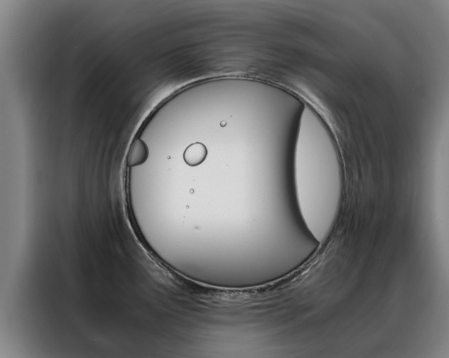 X0000088401291200705220814