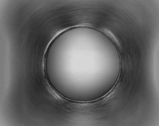 X0000088401292200705220814