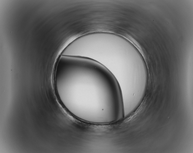 X0000088401293200705220814