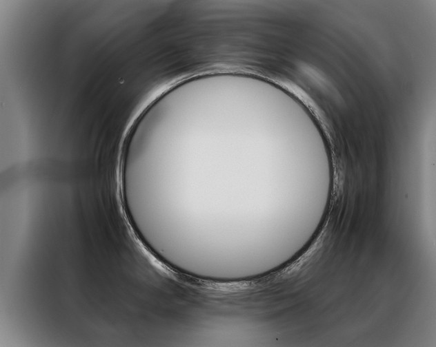 X0000088401294200705220814
