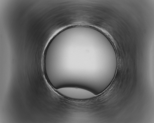 X0000088401295200705220814
