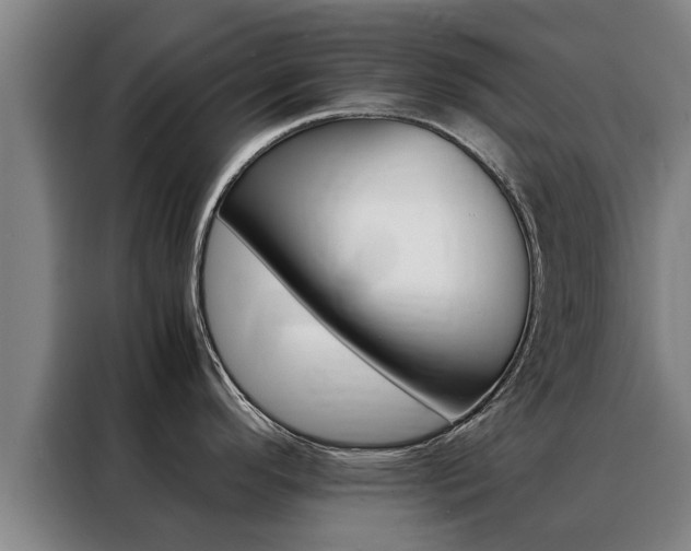 X0000088401296200705220814