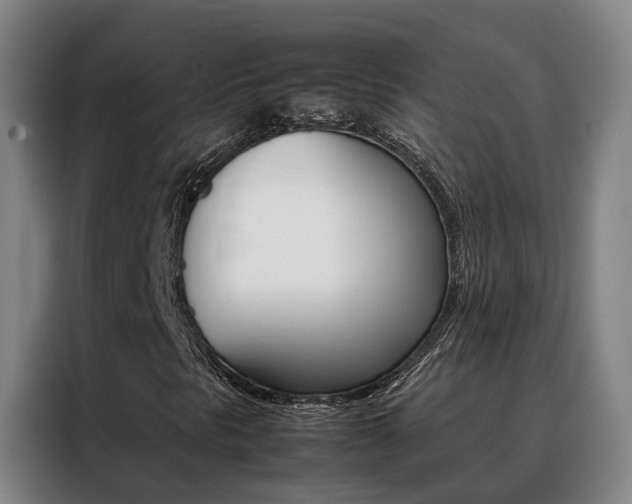 X0000088401297200705220813