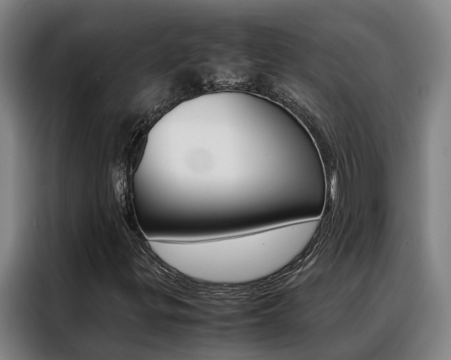X0000088401299200705220813