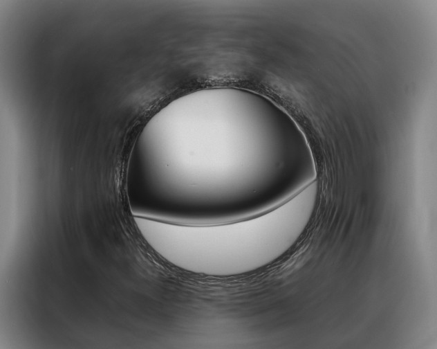 X0000088401300200705220813