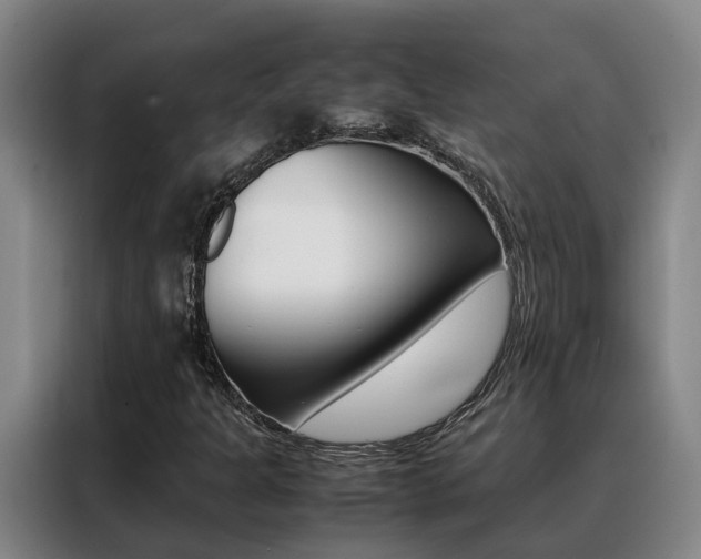 X0000088401301200705220813