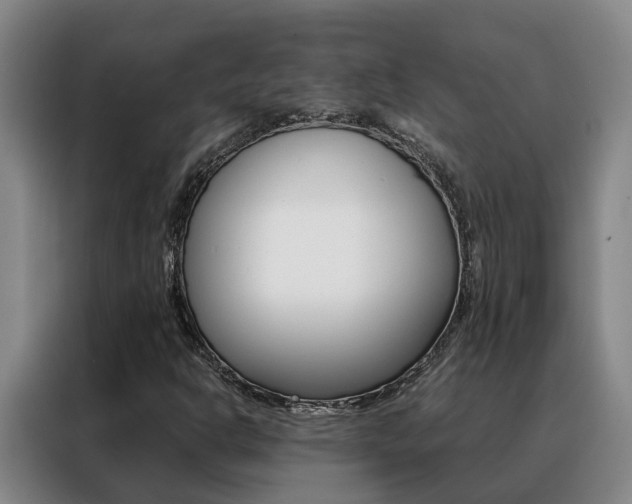 X0000088401302200705220813