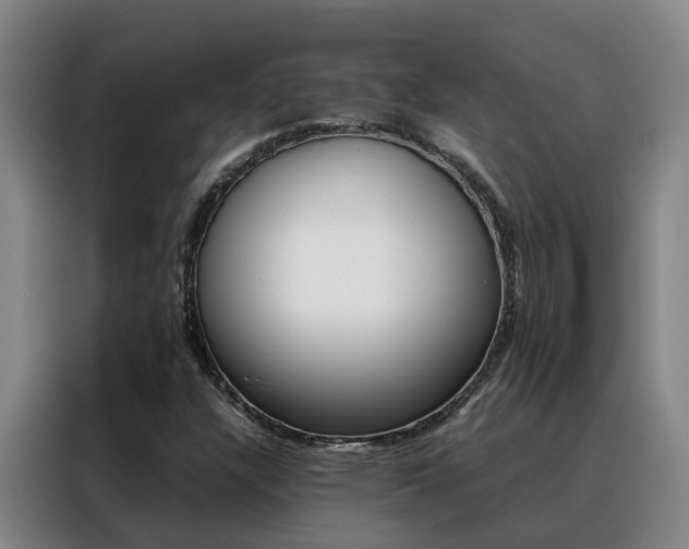 X0000088401304200705220813