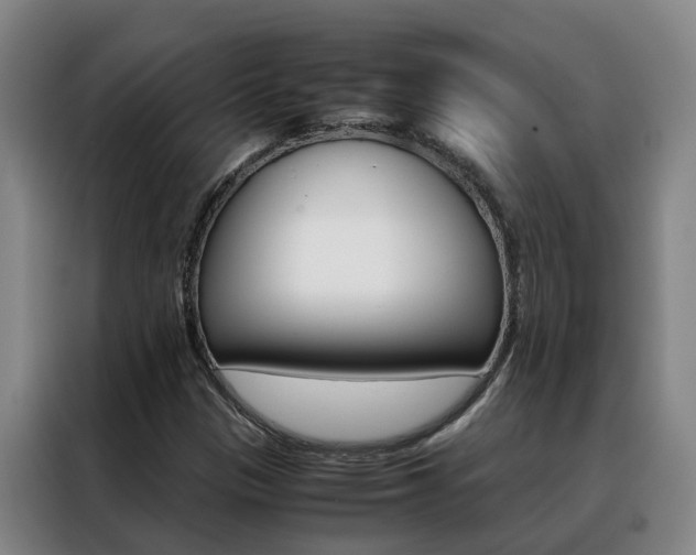 X0000088401305200705220813