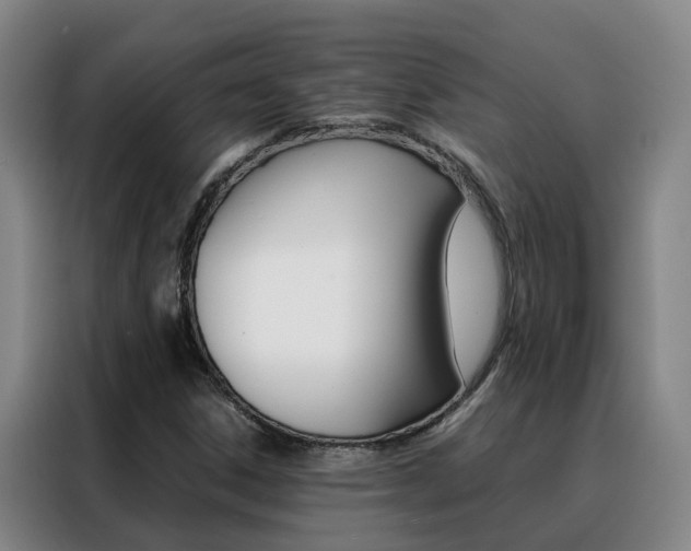 X0000088401306200705220813