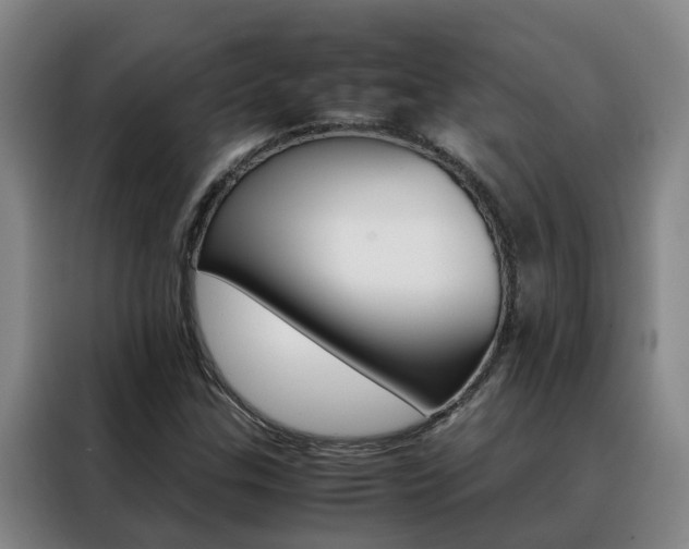 X0000088401307200705220813