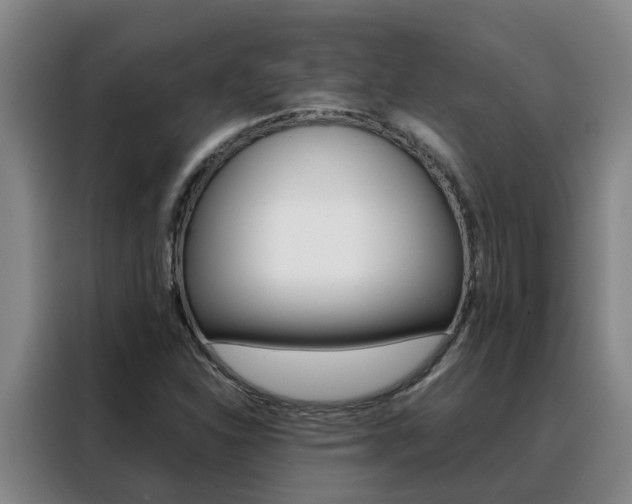 X0000088401310200705220813