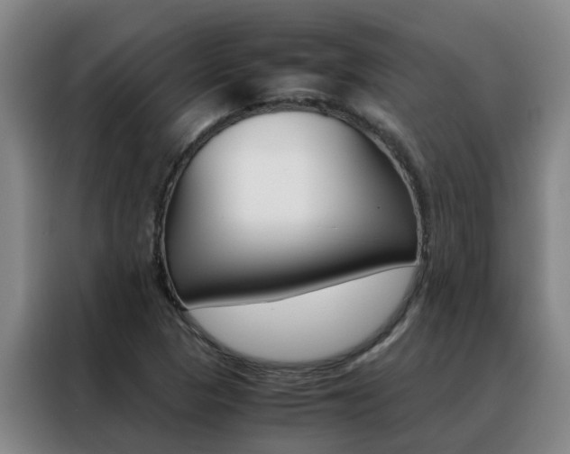 X0000088401313200705220813