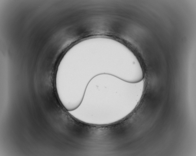 X0000088401314200705220813