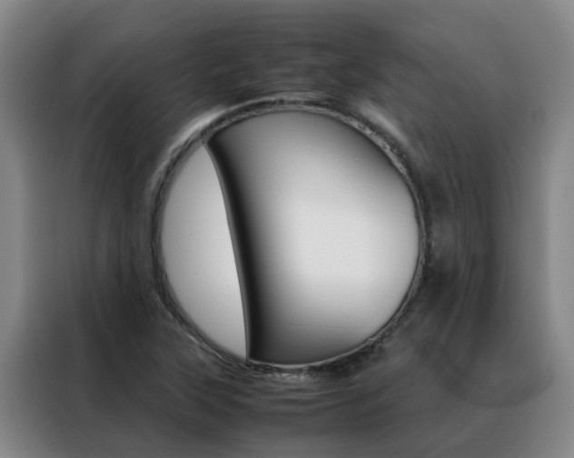 X0000088401315200705220813