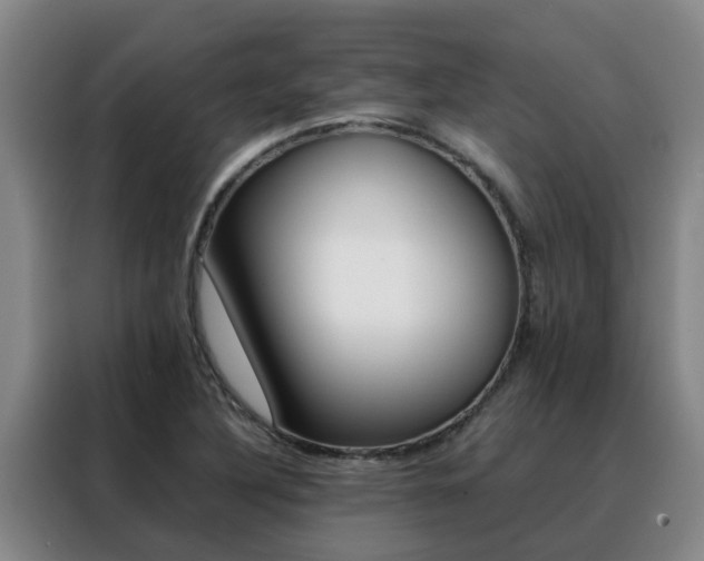 X0000088401316200705220813