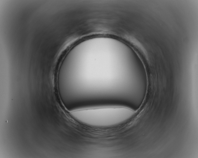X0000088401318200705220813