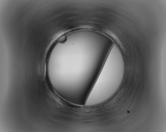 X0000088401323200705220813