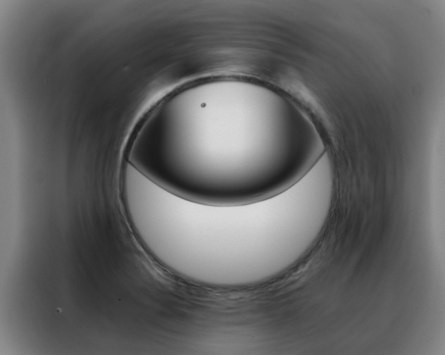 X0000088401324200705220813