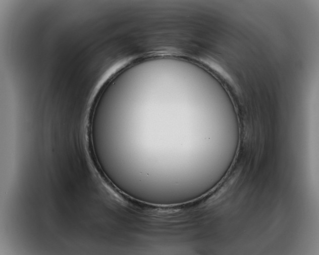 X0000088401325200705220813