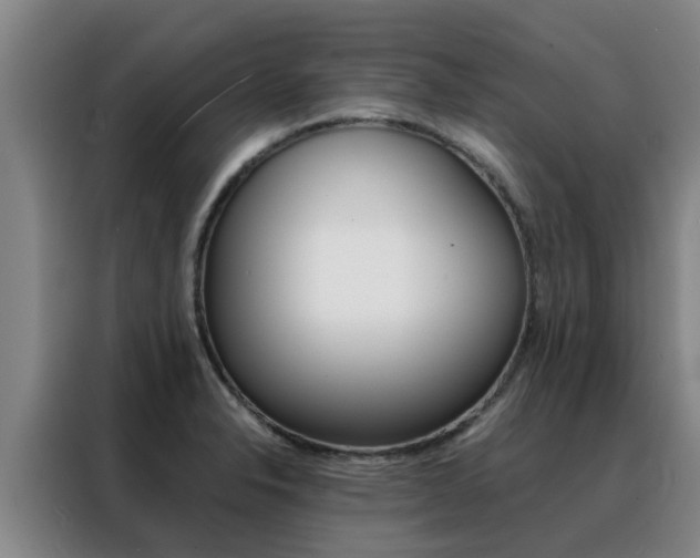 X0000088401326200705220813