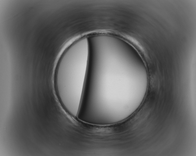 X0000088401327200705220813