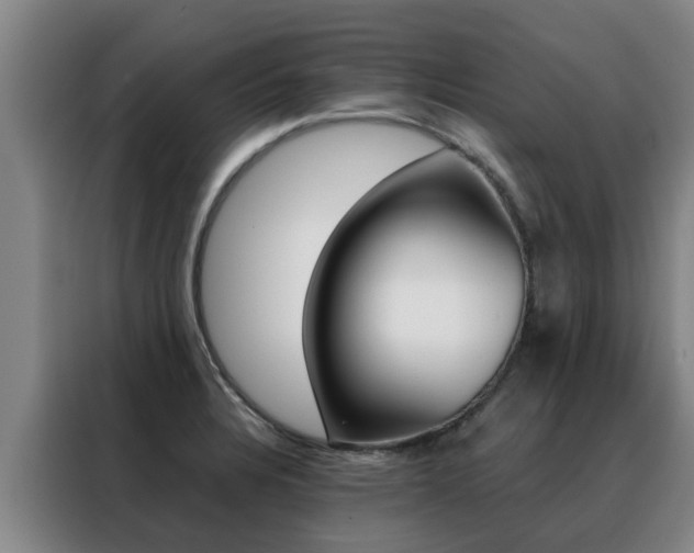 X0000088401328200705220813