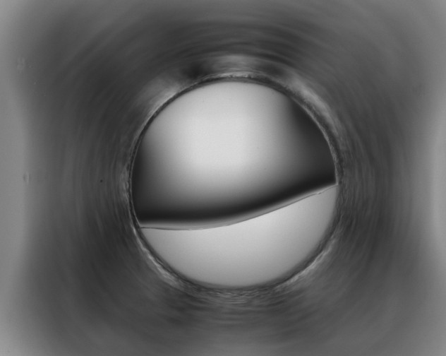 X0000088401329200705220813