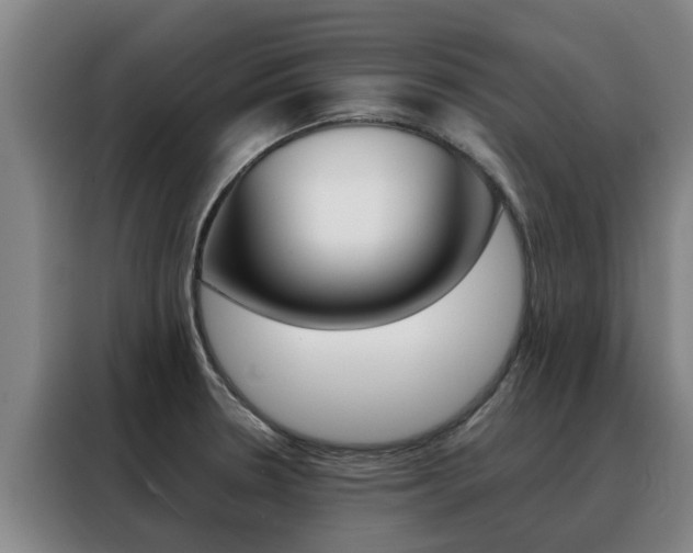 X0000088401330200705220813